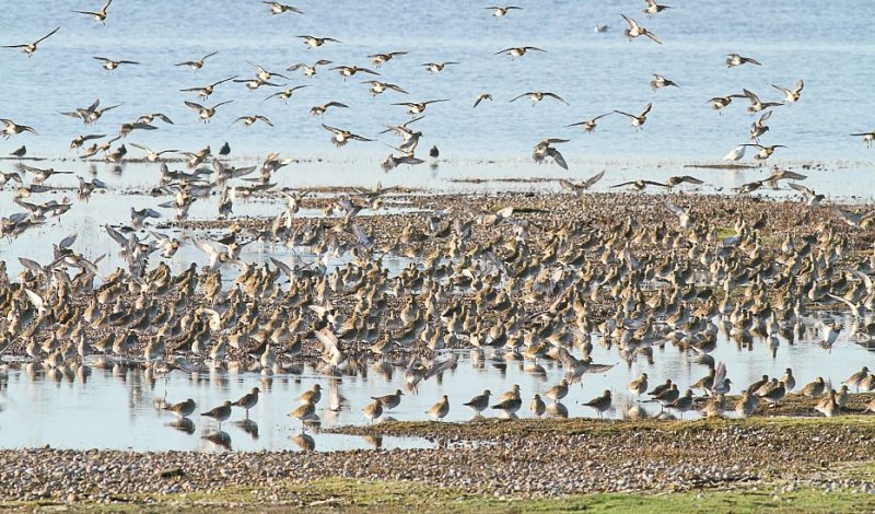 Massive Euro boost for Rye Harbour Discovery Centre project